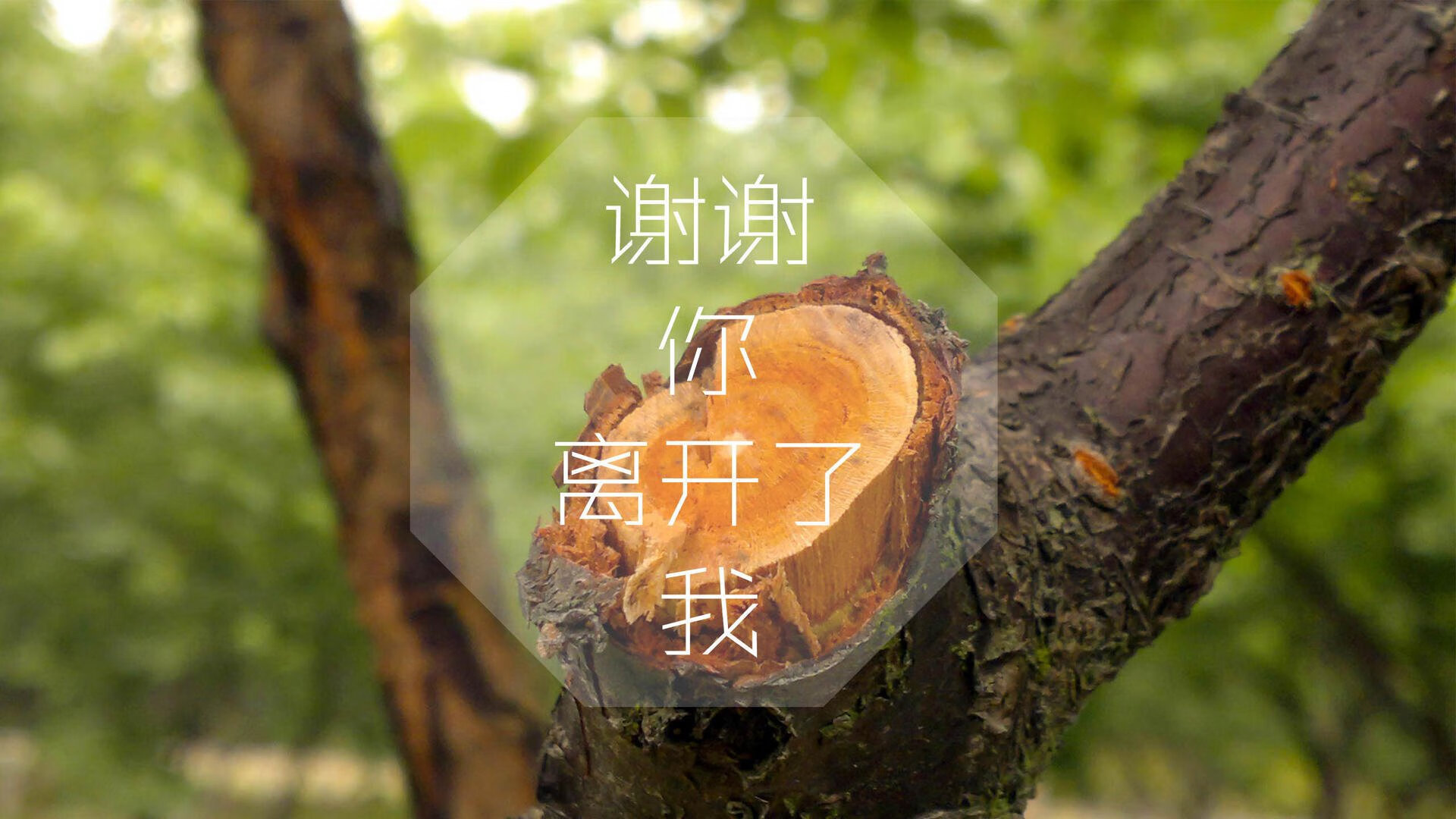 开云·Kaiyun网页版-达拉斯牛仔队重返季后赛，达拉斯牛仔队重返季后赛视频