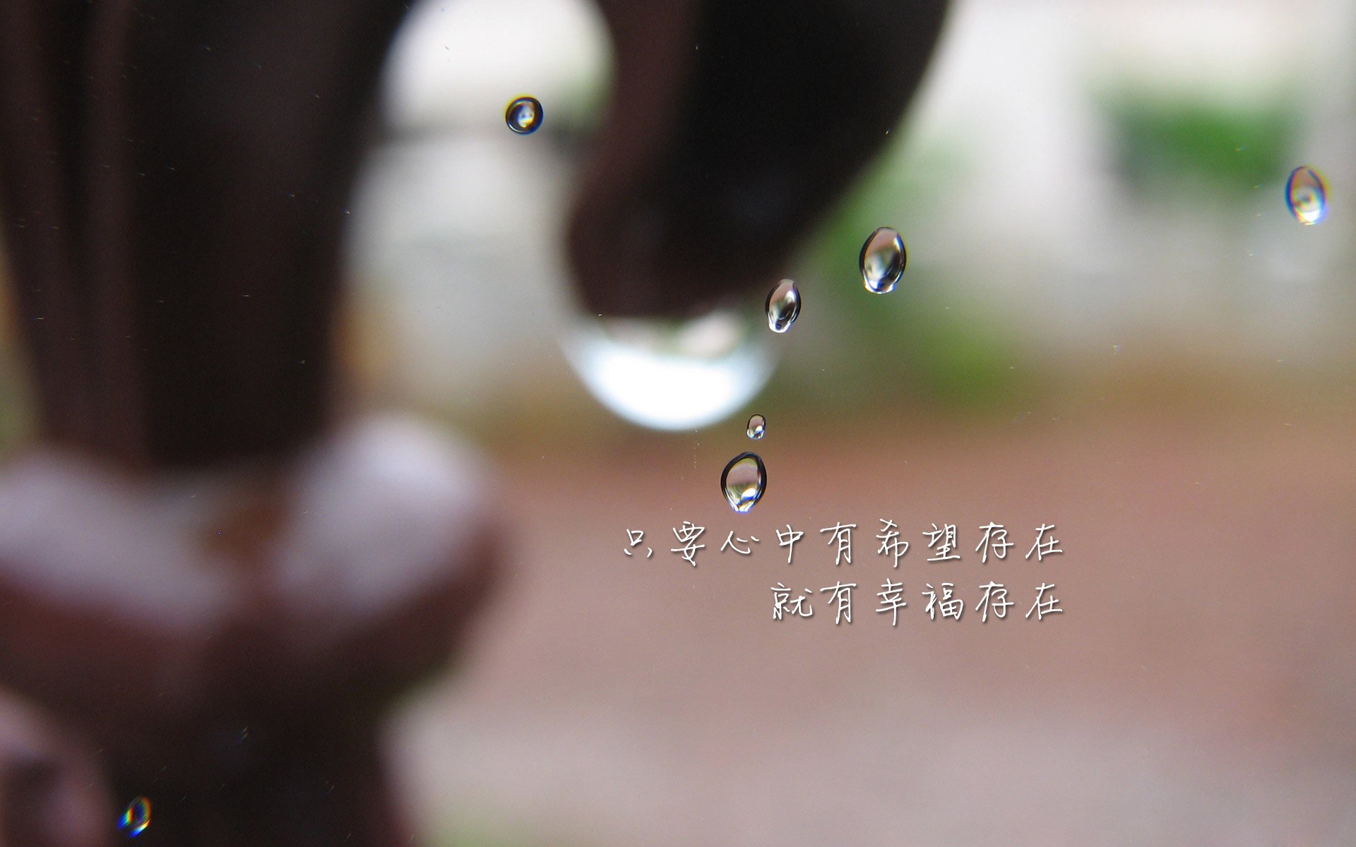 国际体育焦点：女足比赛中的精彩对抗！，女足比赛现场