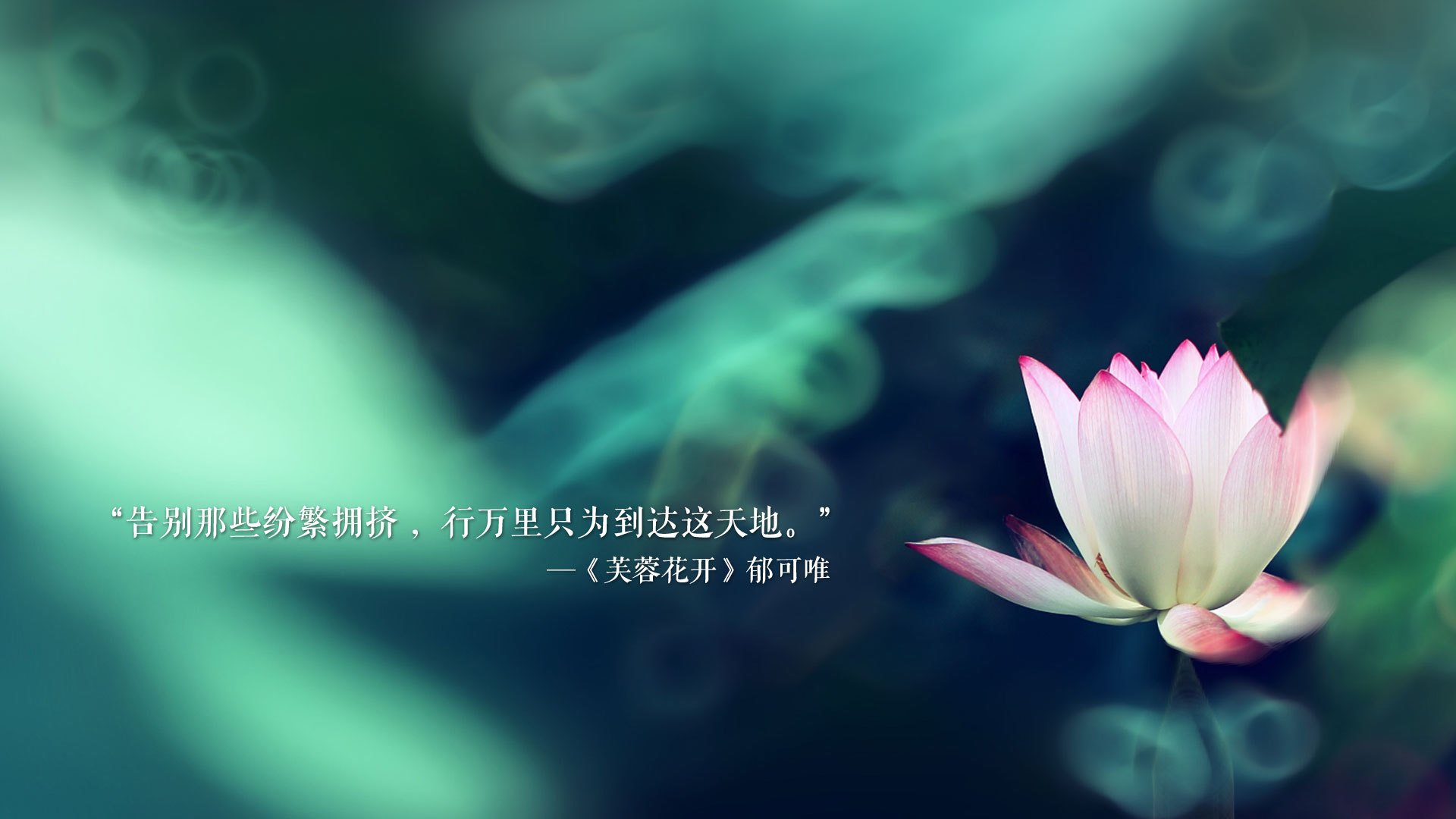 开云·体育官网APP下载-纽约篮球圈再掀波澜，篮网队以一敌众，纽约 篮球