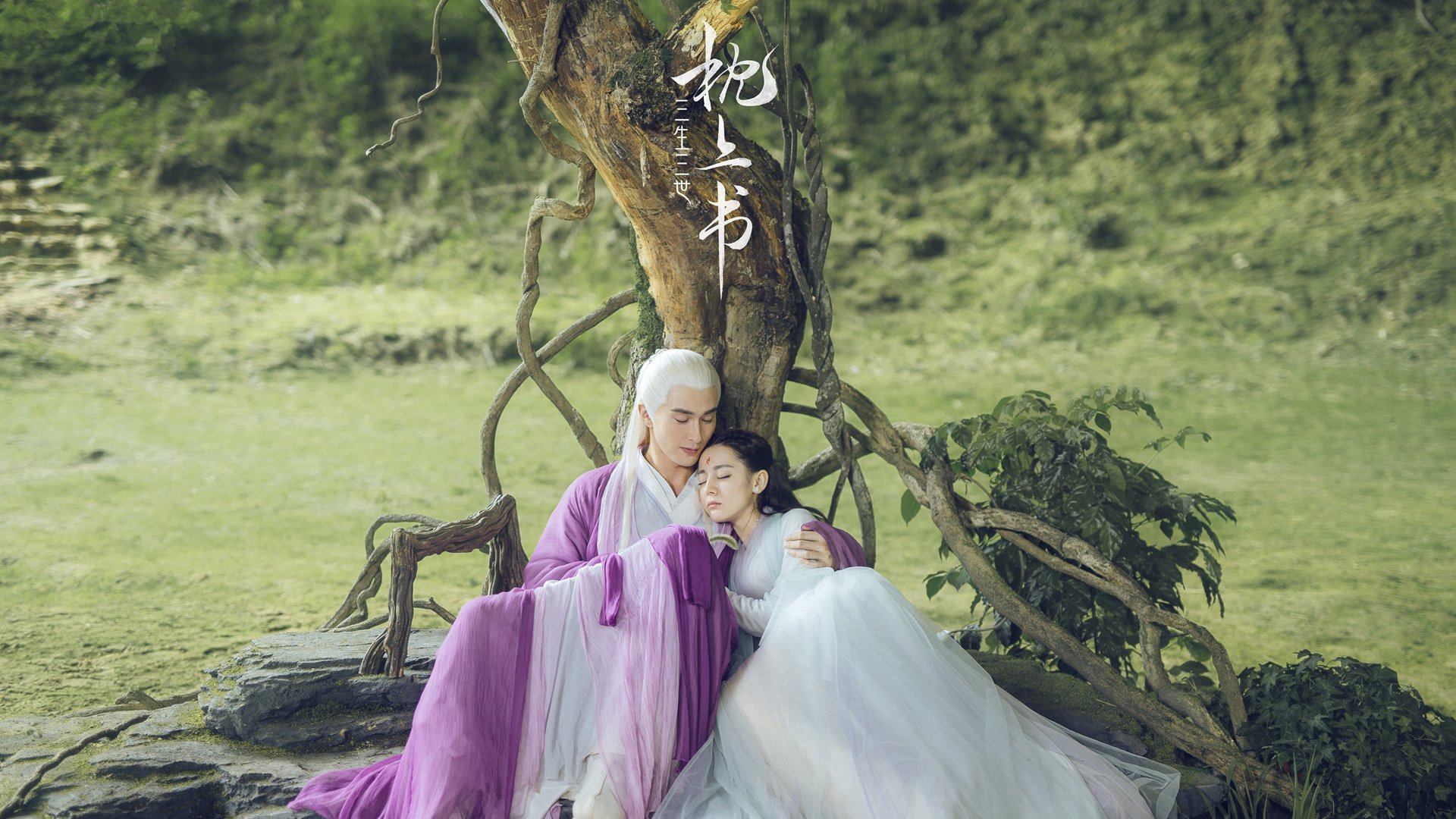 鹿岛鹿角大胜对手，晋级希望渐增，鹿岛鹿角图片