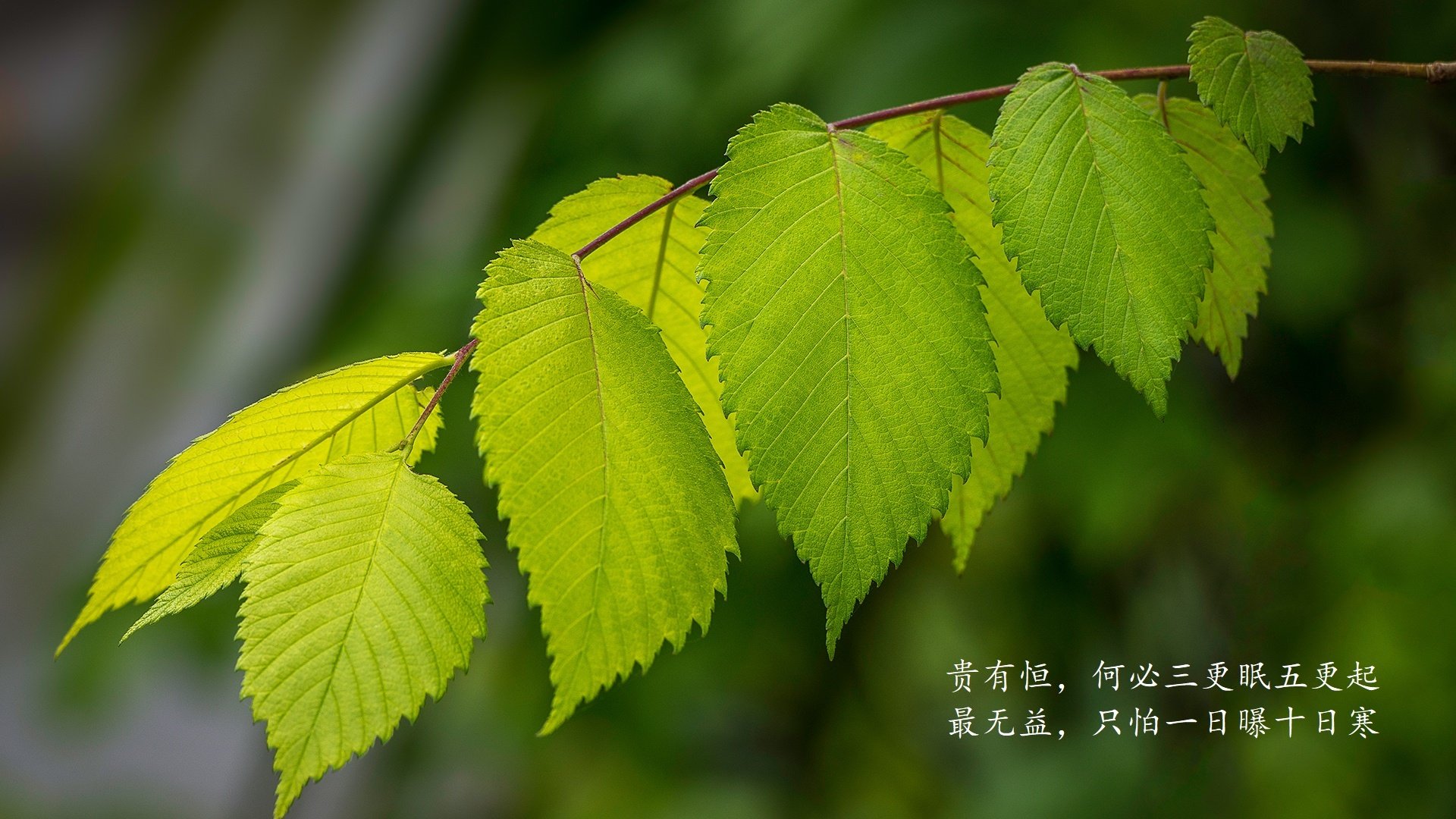体育培训市场收费标准监管机制探讨，体育培训费属于哪一个科目