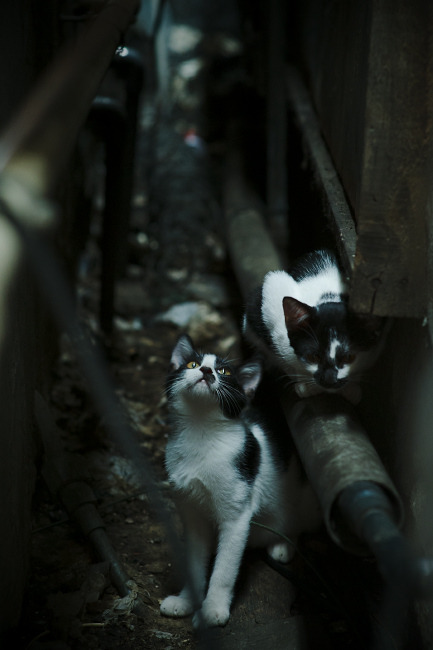 传控配合引导对方脱位，传控配合引导对方脱位怎么处理