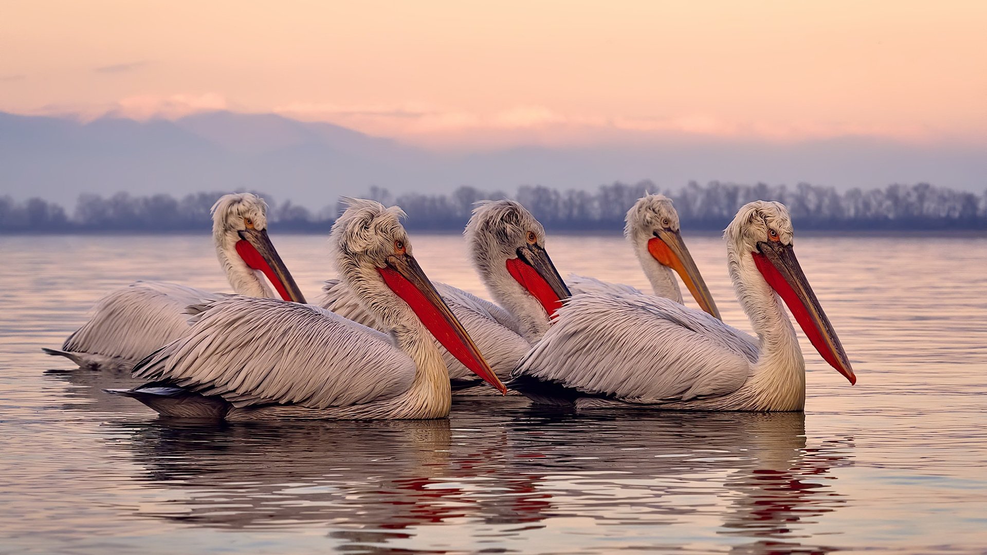 体育新闻中心构建体育媒体数字资产管理体系,体育产业新闻