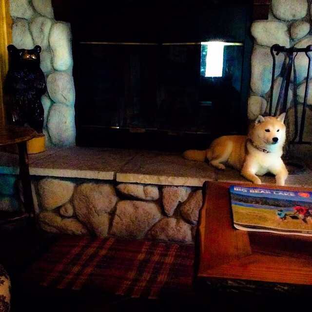 中国足球国家队引入赛事心理干预团队，进入中国足球国家队的要求