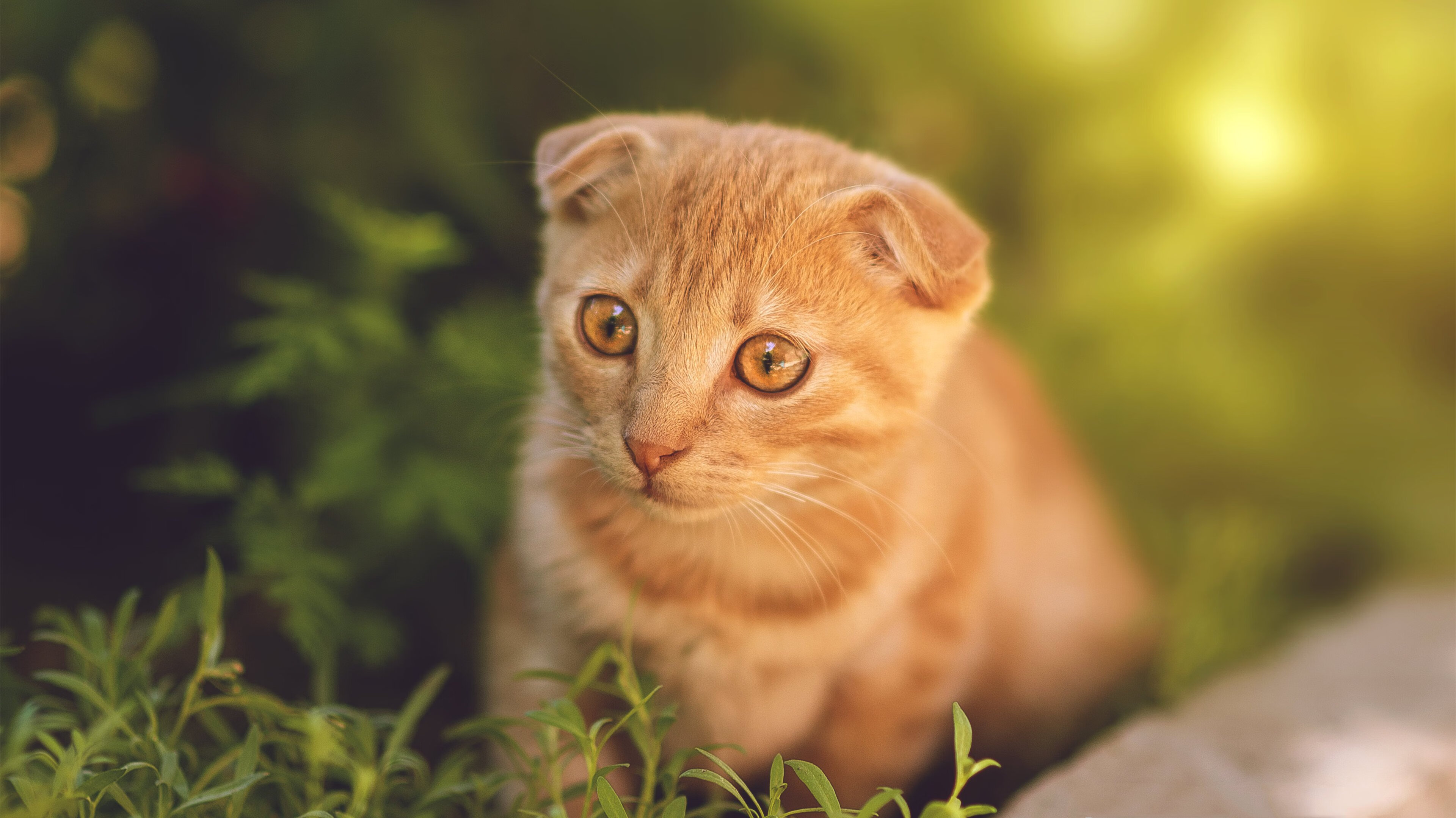 女子篮球青年队强化快速反击训练提升比赛威胁,女子篮球队训练方法
