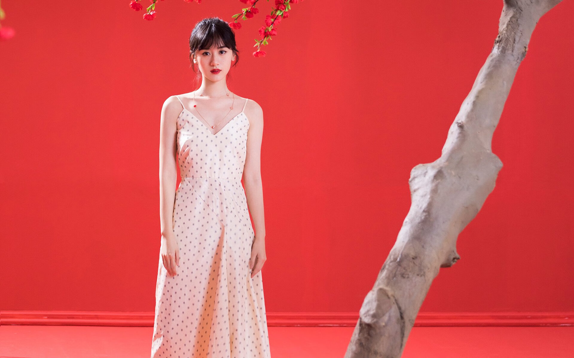 比利时男篮在欧洲预赛中奋战到底,冲击奥运名额,比利时男篮排名