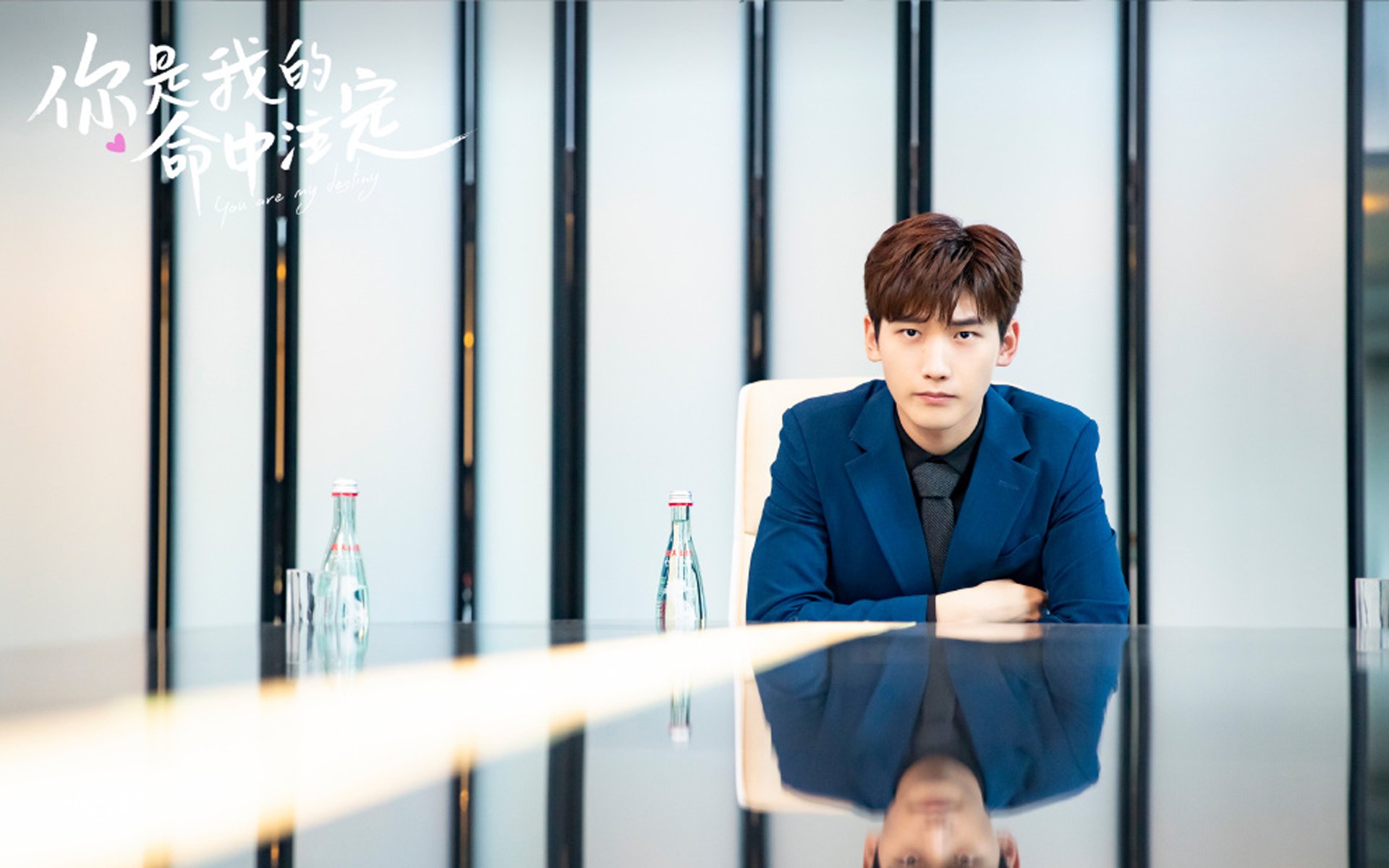 比利时女篮在欧洲锦标赛中夺冠，持续刷新佳绩，比利时女篮在欧洲锦标赛中夺冠,持续刷新佳绩