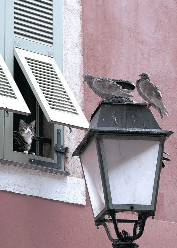 开云·Kaiyun网页版-羽毛球技术分解课程上线教学平台，羽毛球分解训练法